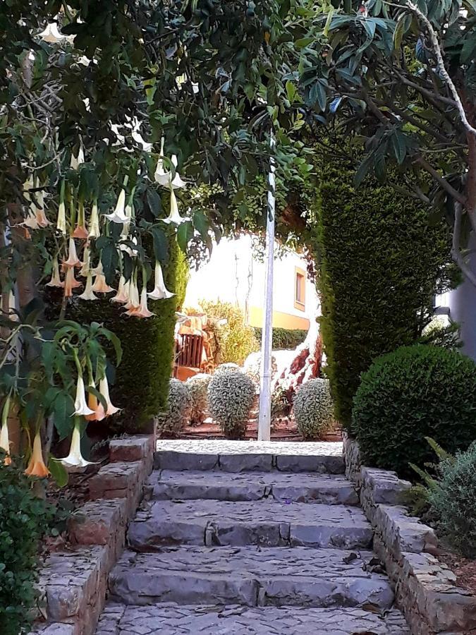 Aparte Wohnung Mit Sudterrasse Am Park Ταβίρα Εξωτερικό φωτογραφία